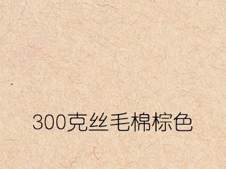 300克絲毛棉棕色